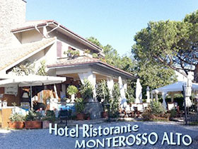 il ciliegio monterosso